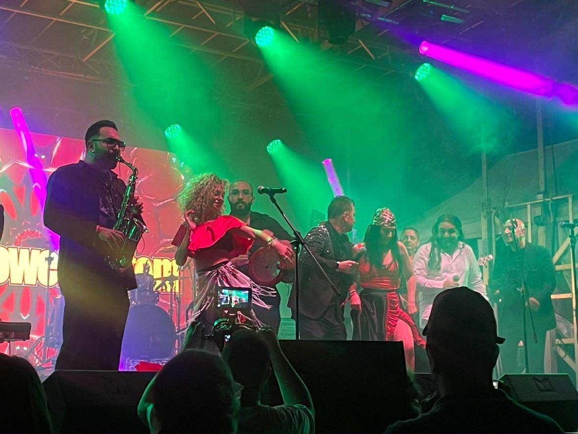 Towards a Roma Futurism - Music as a Means for Transnational Communication