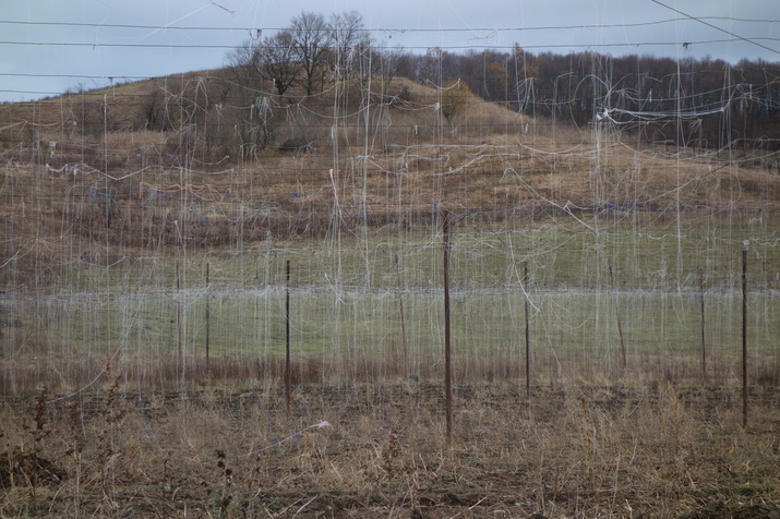 Agencies on the way to Bussd; photo: Johanna Guggenberger