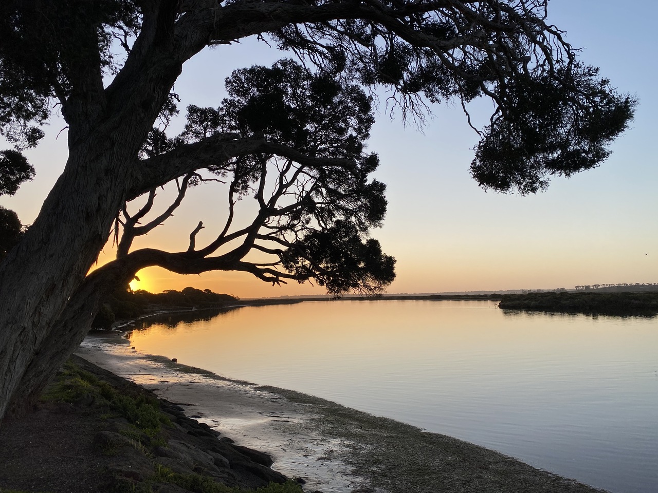 Ros Bandt and Vicki Hallett – Listening to the Barwon River in Australia