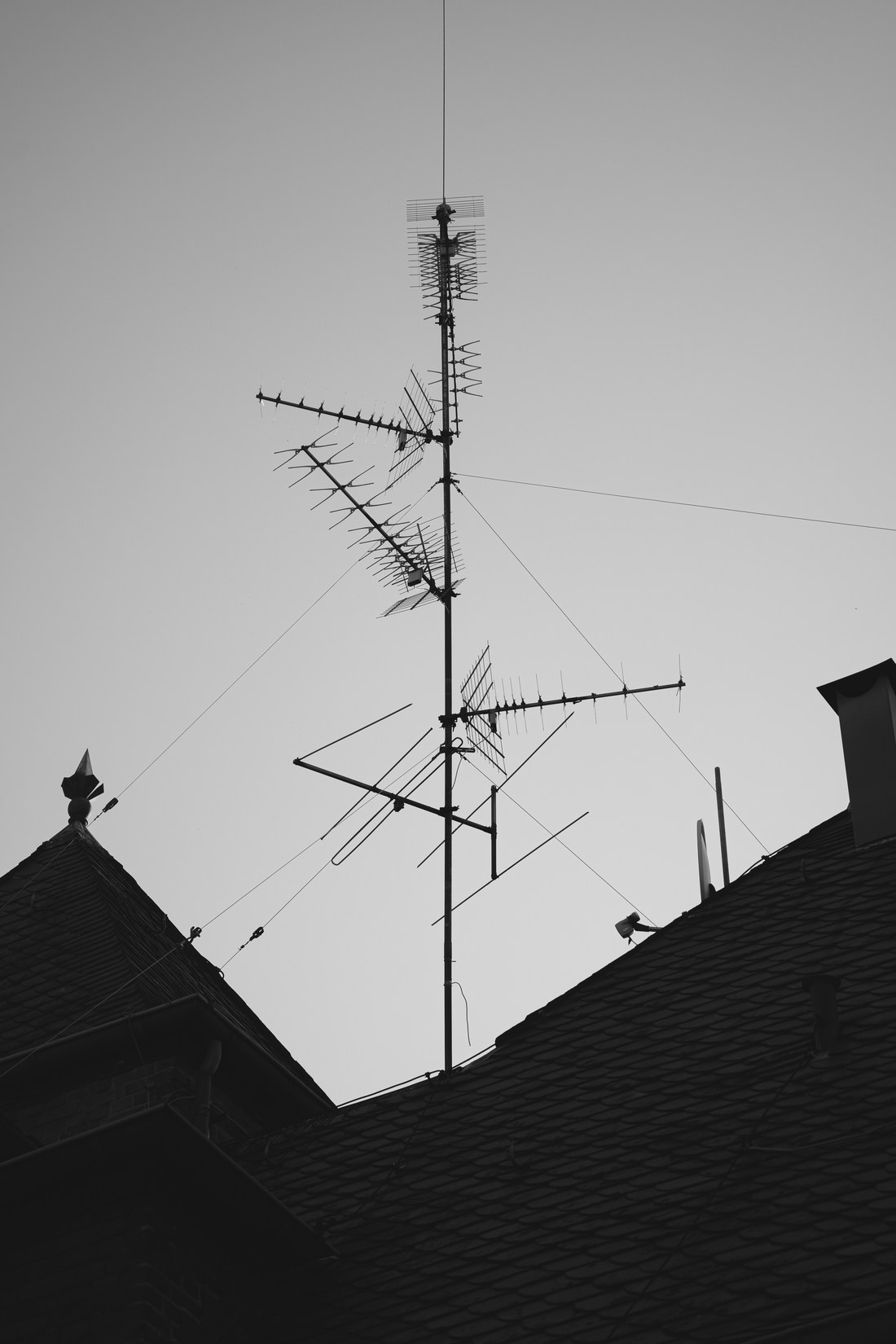 Photo by Bingqi Huang on Unsplash