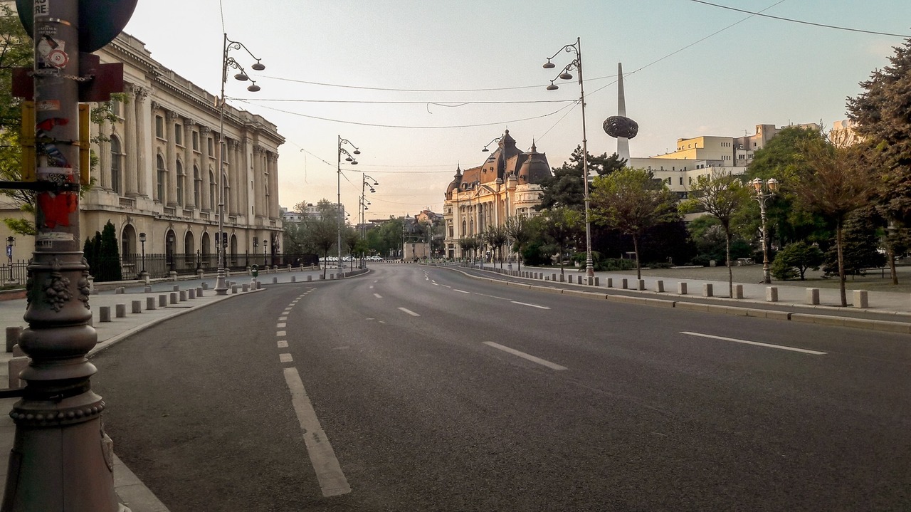 Pricked Up Ears. A Lockdown Listening