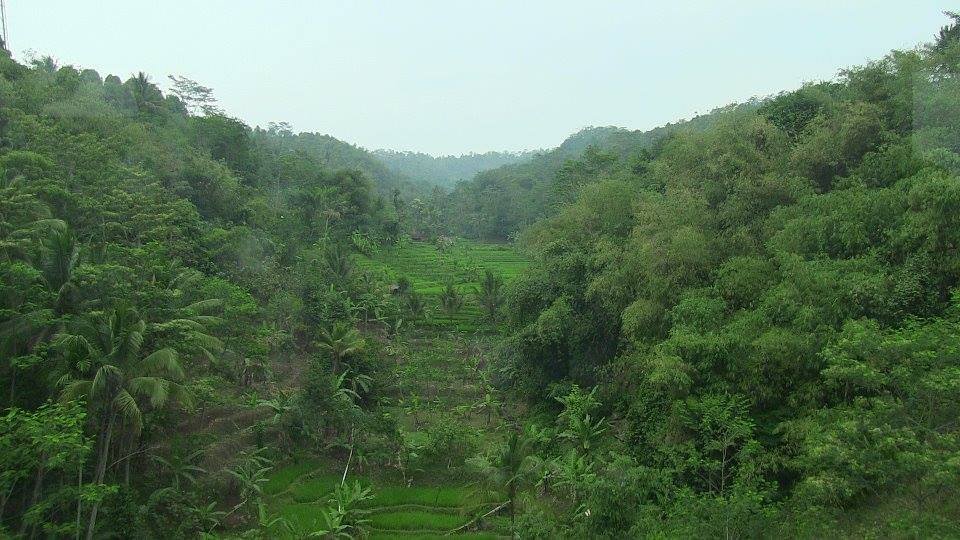 Far Off Sounds - the infinite story of music on earth