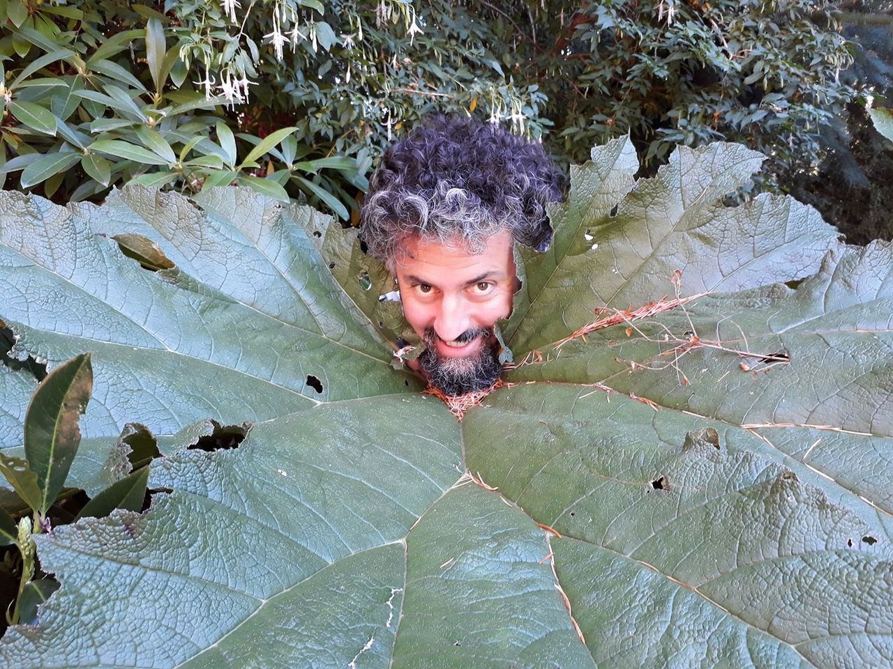 Plant A Tree: Hernan Don Camel Sforzini