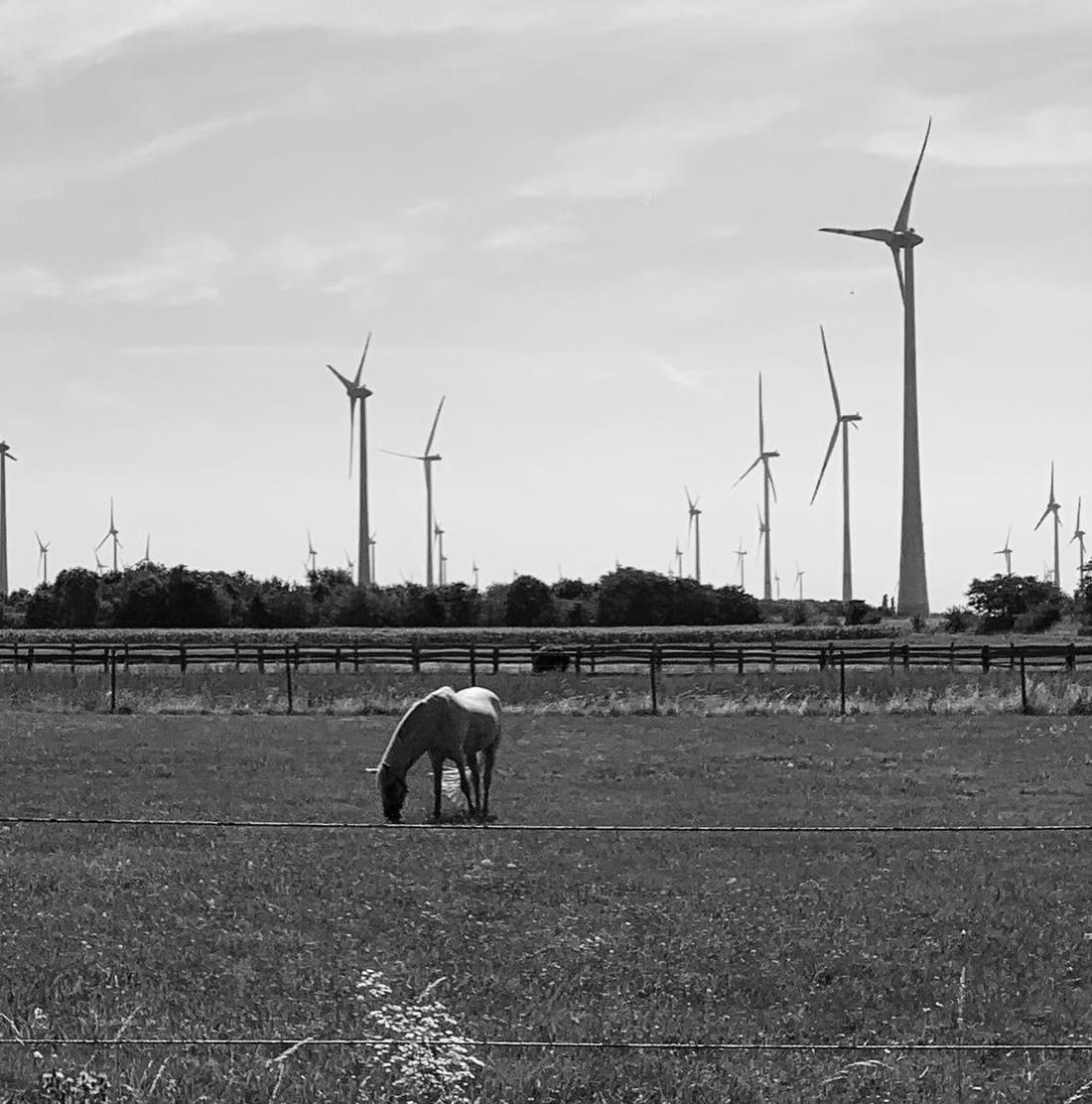 Photo: George Staicu