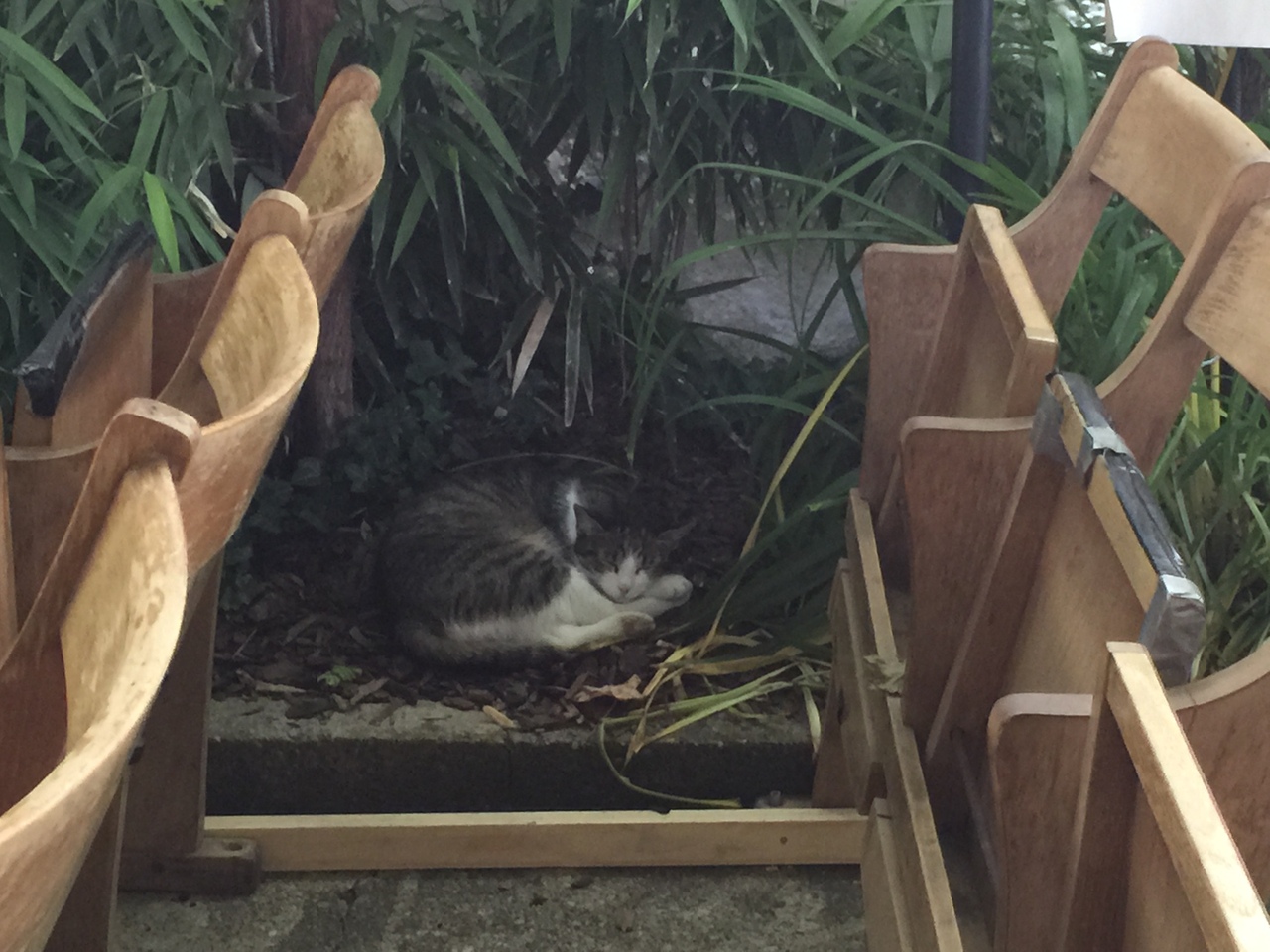 Konfrontationen 36 in Nickelsdorf, Austria