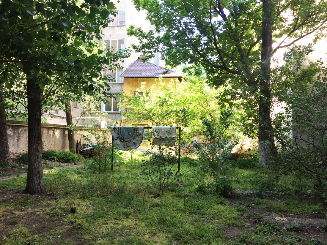 Photo: Anamaria Pravicencu