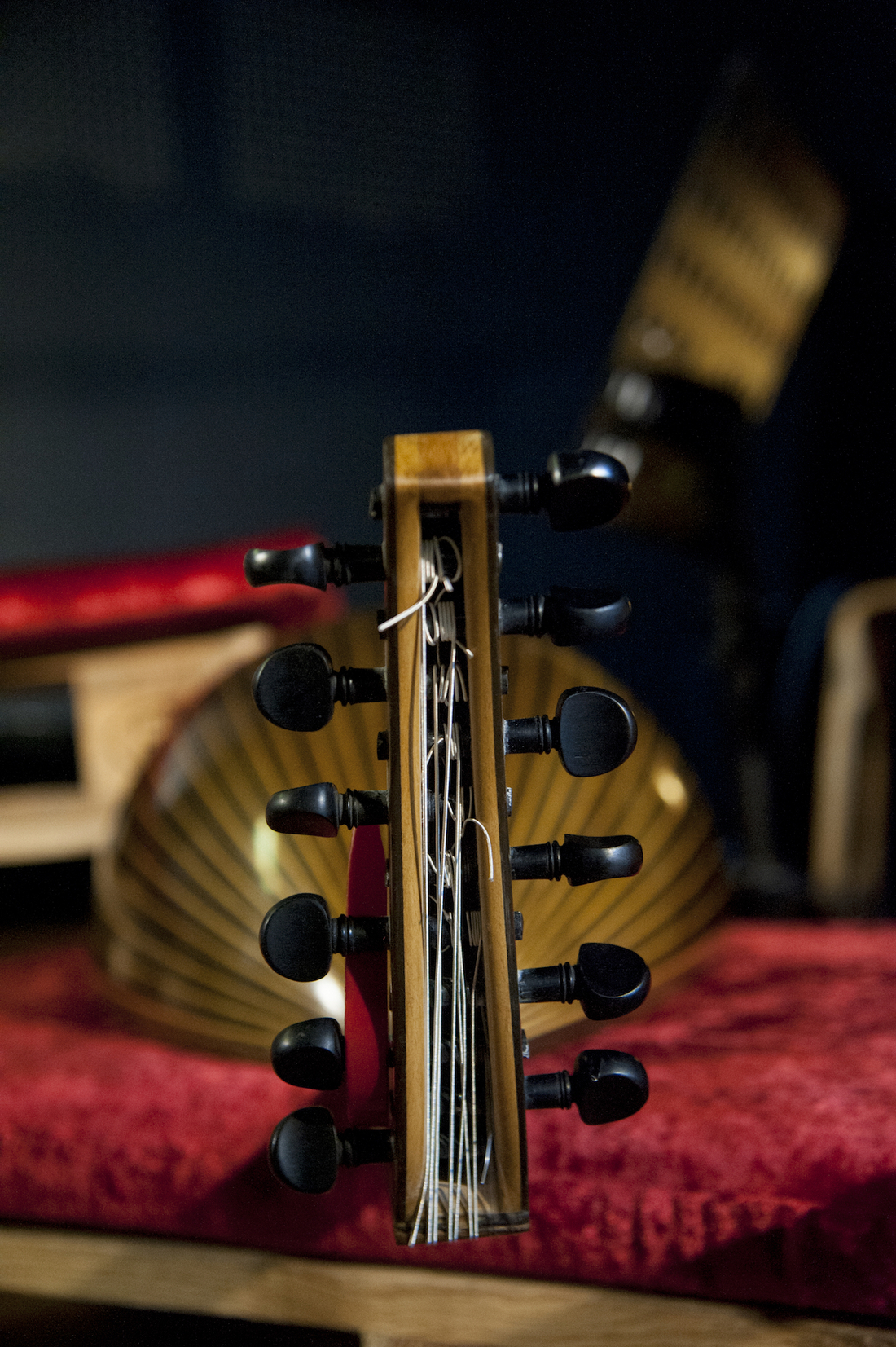 Oud. Photo: Mirela Crăciun