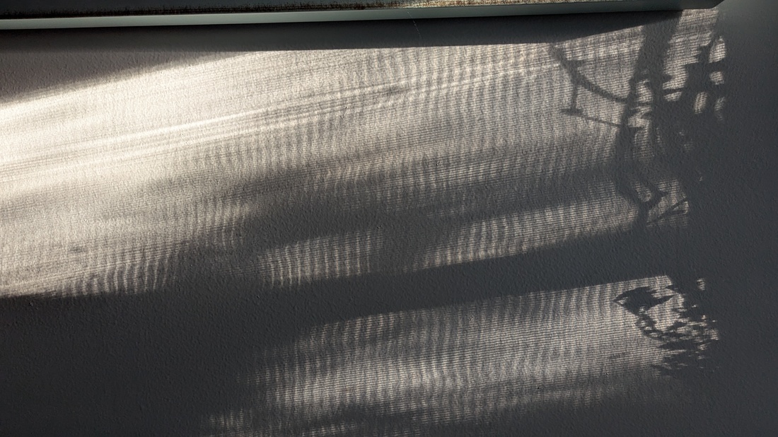 How weird is it, really? Photo by the author.