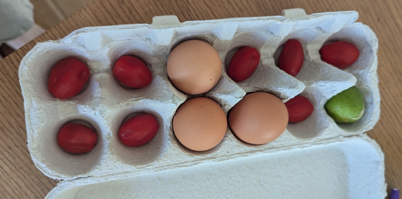 The WEIRDness of Experimental Music: The Reproduction of In/Difference