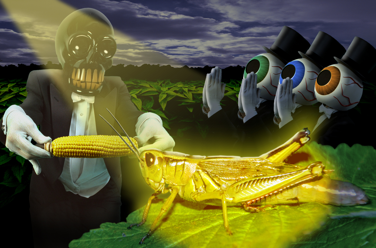 The Residents made me hitchhike throughout Europe!