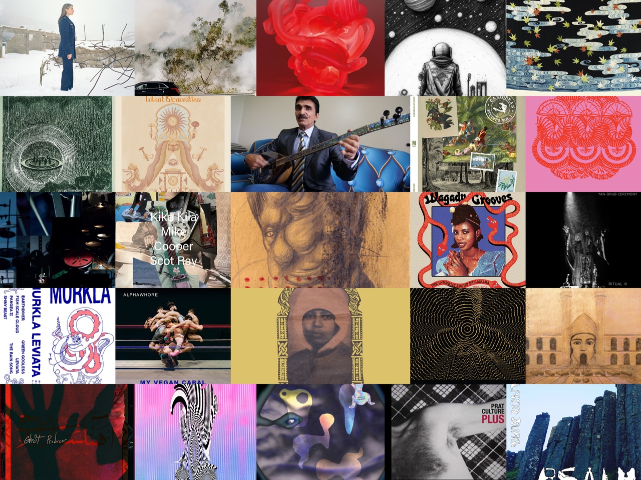 Staff Picks - February 2024