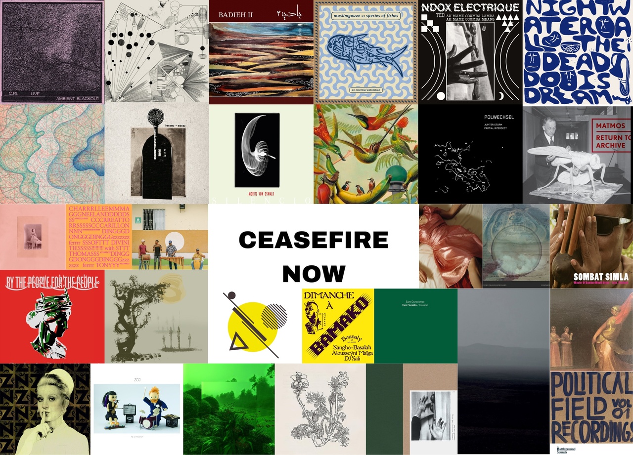 Staff Picks - November and December 2023