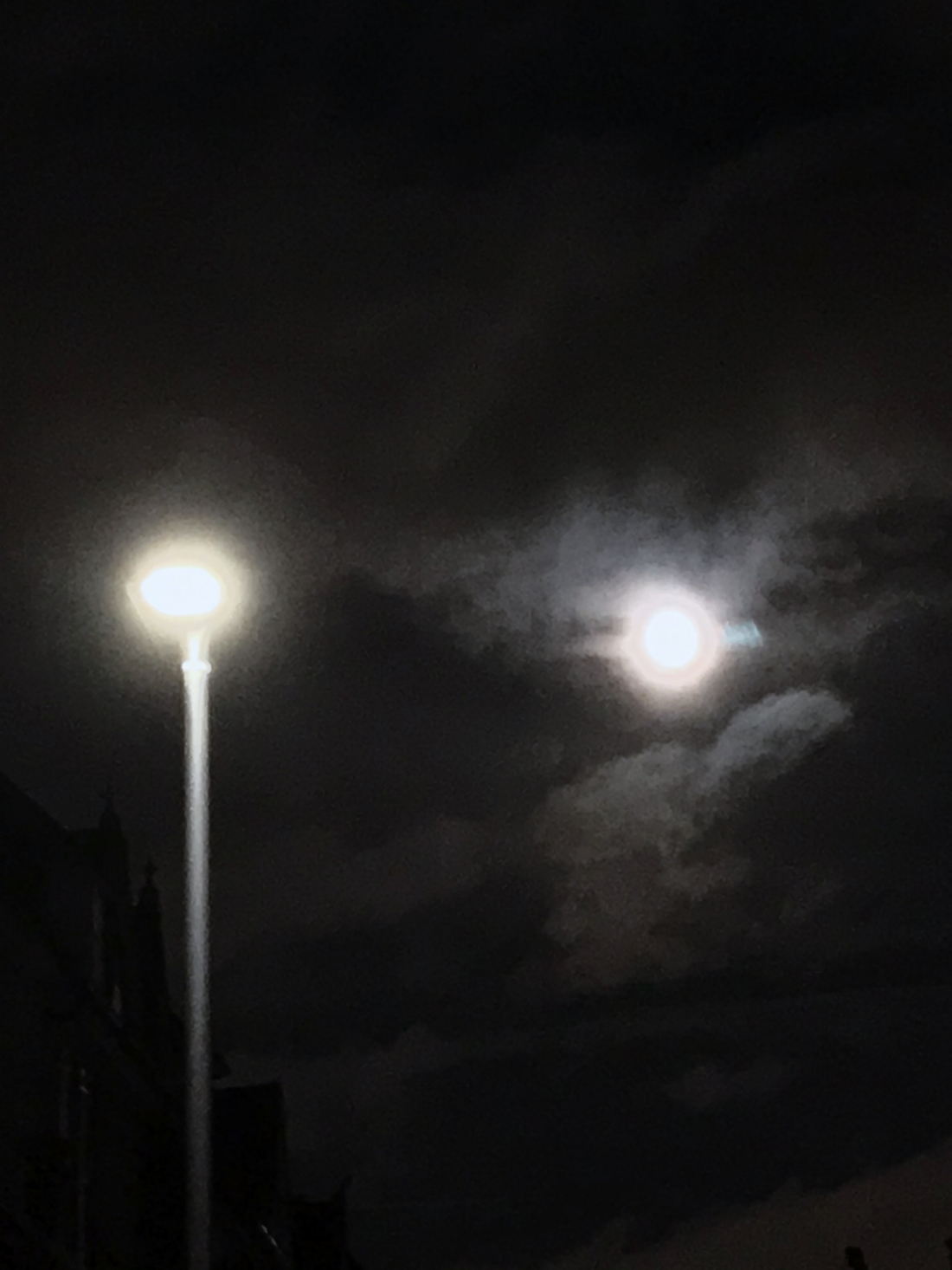 Photo: Lara C. Geary